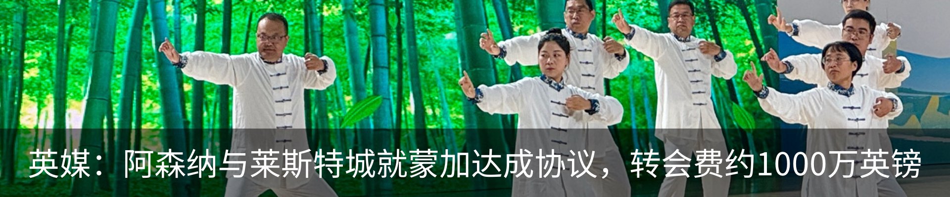 新闻动态